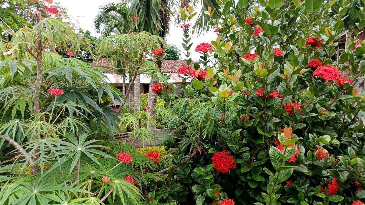 Finca Magdalena Eco Lodge Balgue Eksteriør bilde