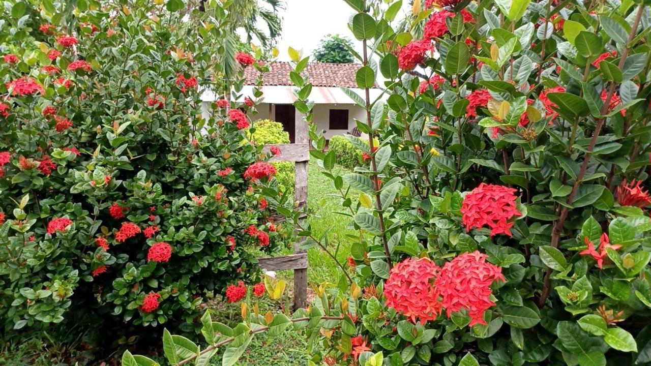 Finca Magdalena Eco Lodge Balgue Eksteriør bilde