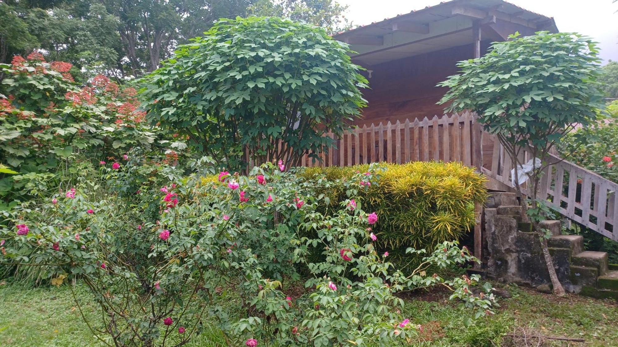 Finca Magdalena Eco Lodge Balgue Eksteriør bilde