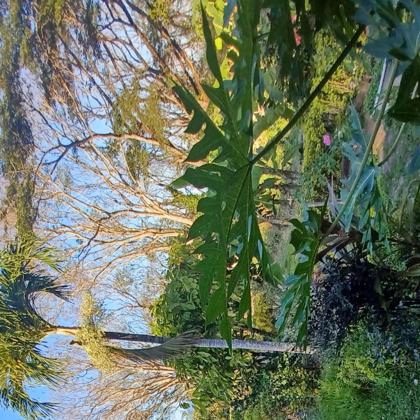 Finca Magdalena Eco Lodge Balgue Eksteriør bilde