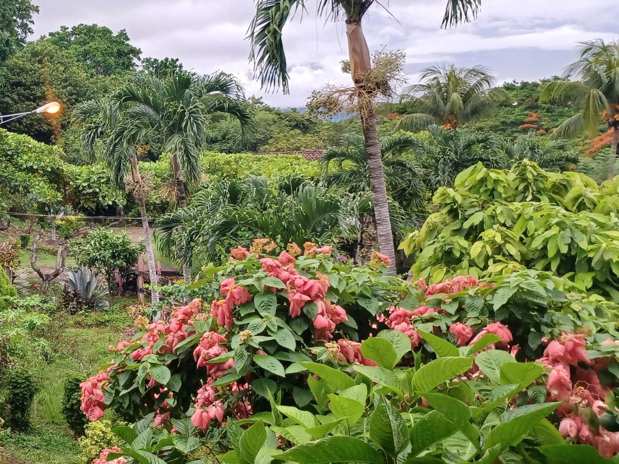 Finca Magdalena Eco Lodge Balgue Rom bilde